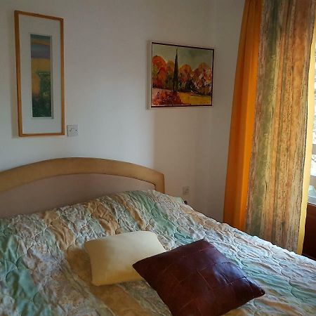 Apartment Slavi Vipava Esterno foto