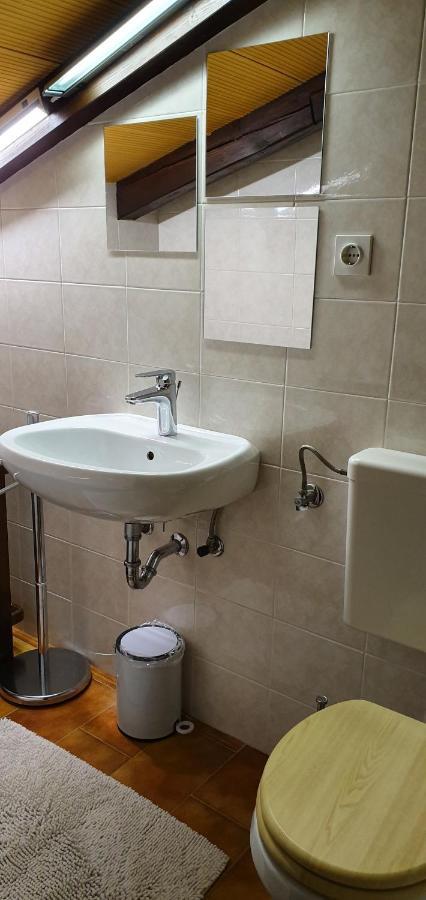 Apartment Slavi Vipava Esterno foto